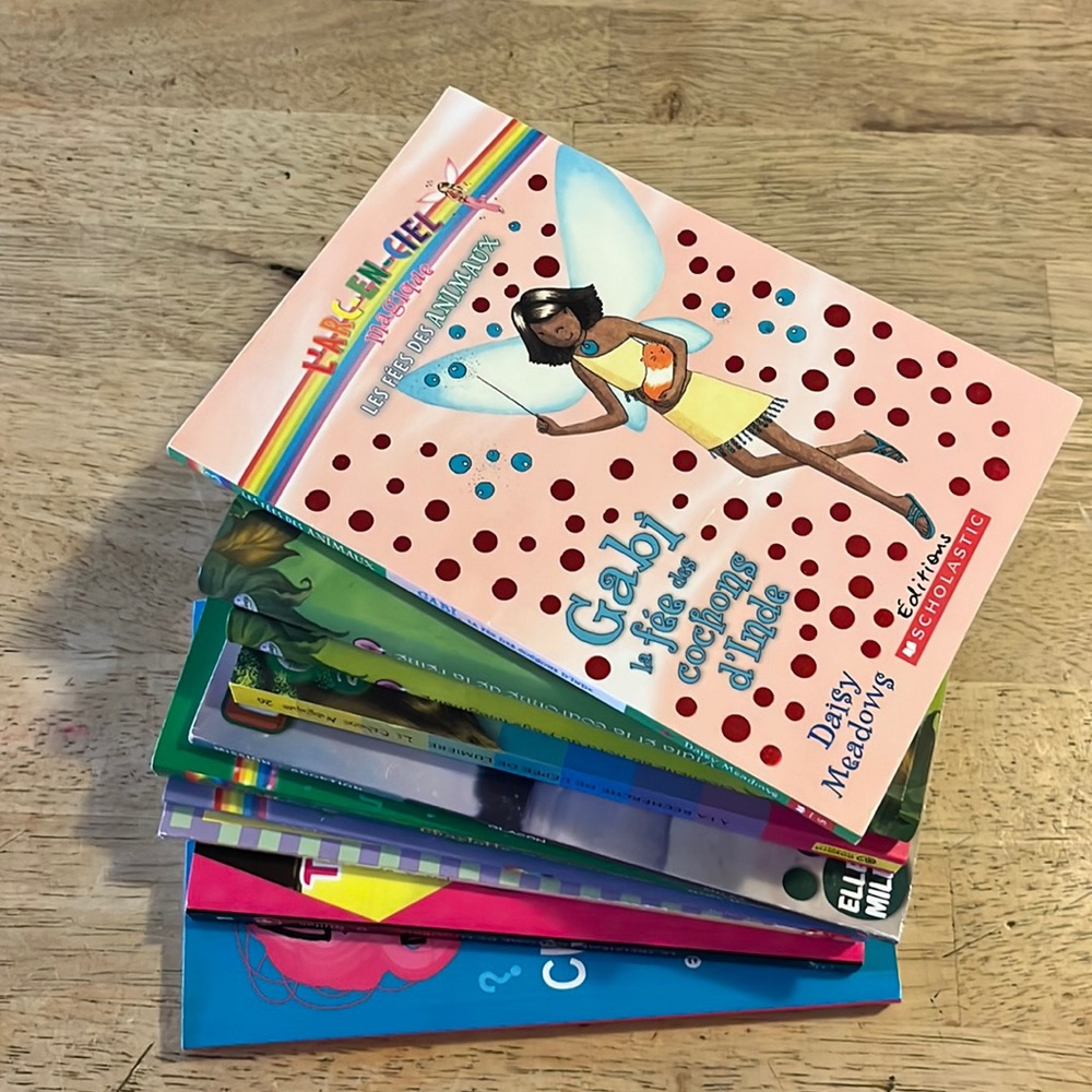 Bundle of Ten Children's French Language Chapter Books